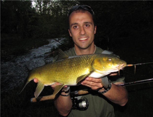 Peixos (Ittiofauna catalana II)